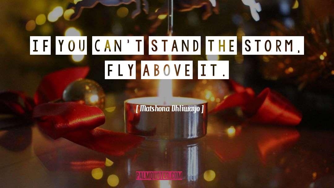 Matshona Dhliwayo Quotes: If you can't stand the