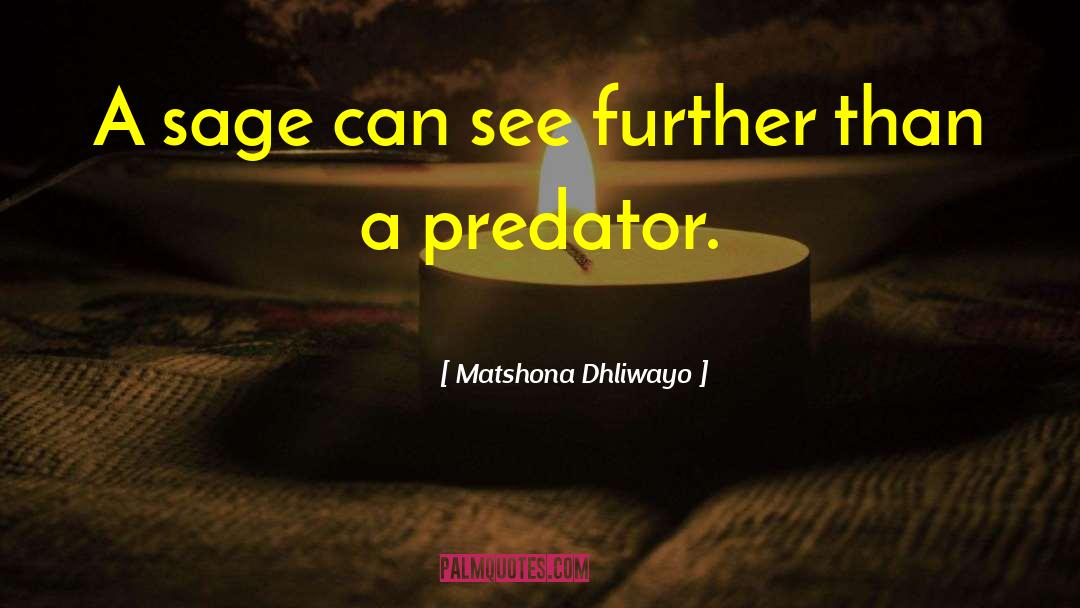 Matshona Dhliwayo Quotes: A sage can see further