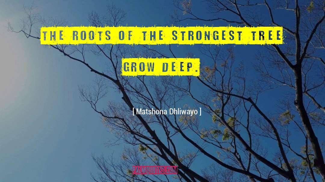 Matshona Dhliwayo Quotes: The roots of the strongest