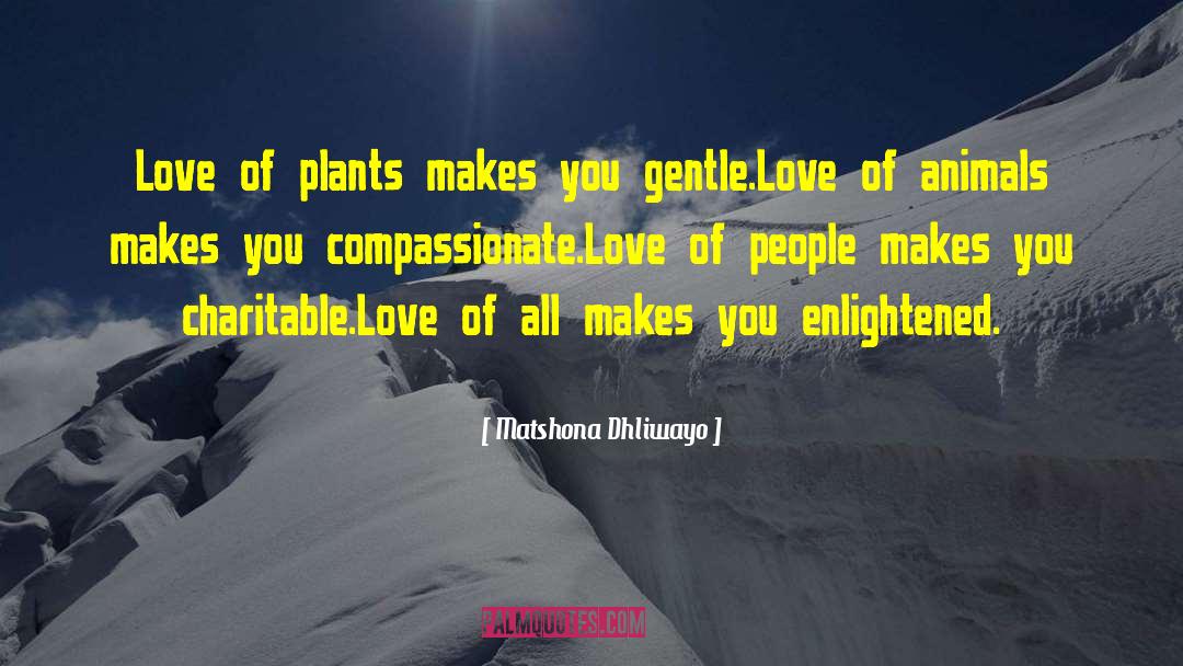 Matshona Dhliwayo Quotes: Love of plants makes you