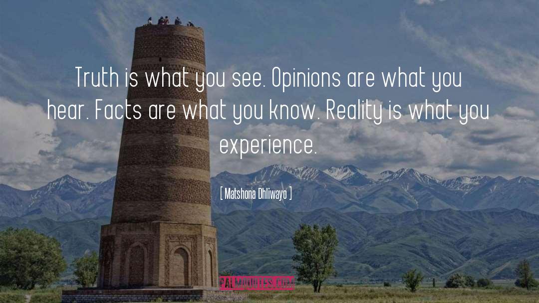Matshona Dhliwayo Quotes: Truth is what you see.