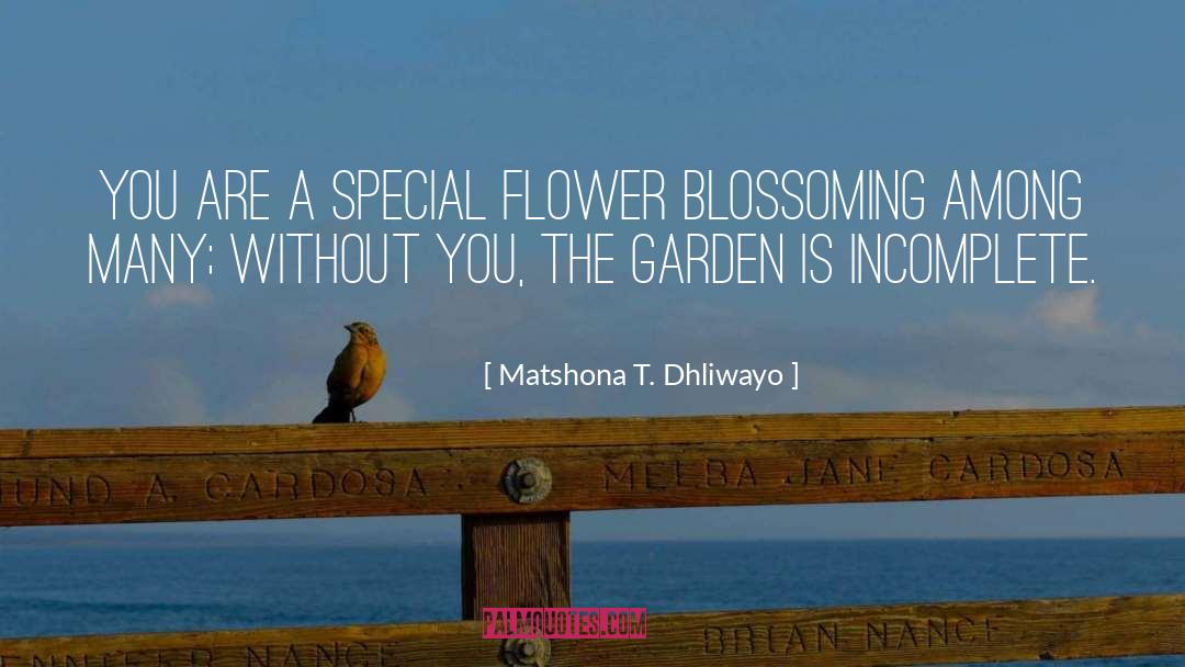 Matshona T. Dhliwayo Quotes: You are a special flower