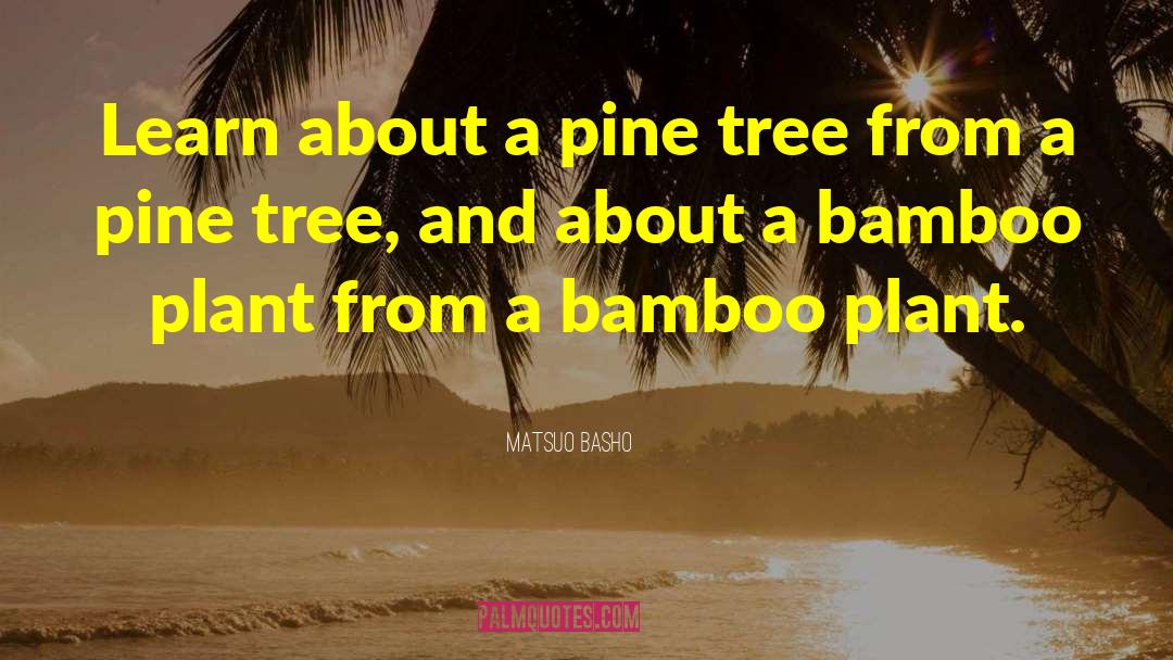 Matsuo Basho Quotes: Learn about a pine tree