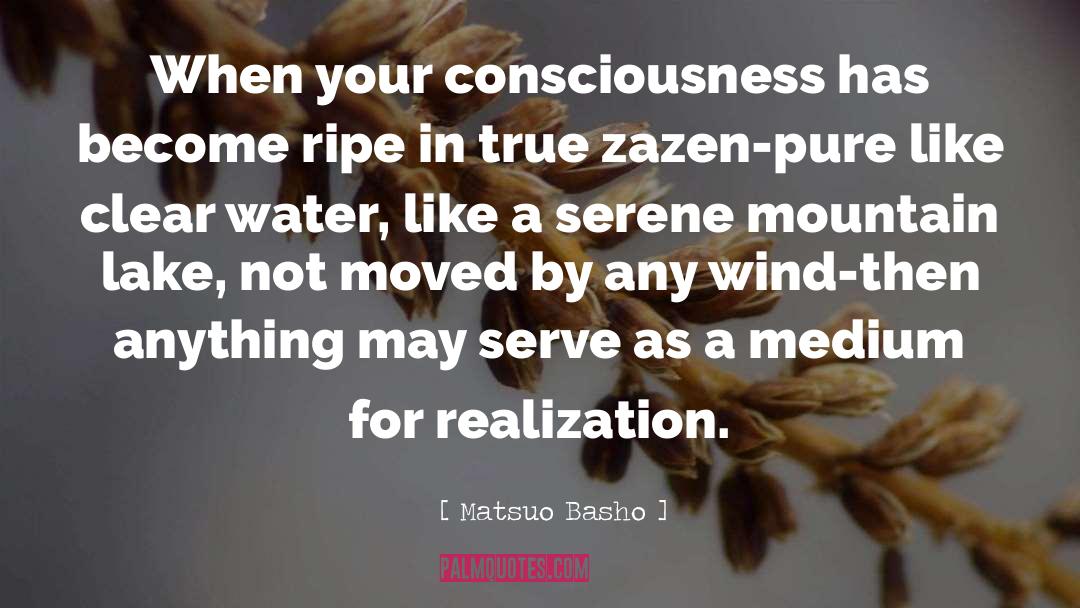 Matsuo Basho Quotes: When your consciousness has become