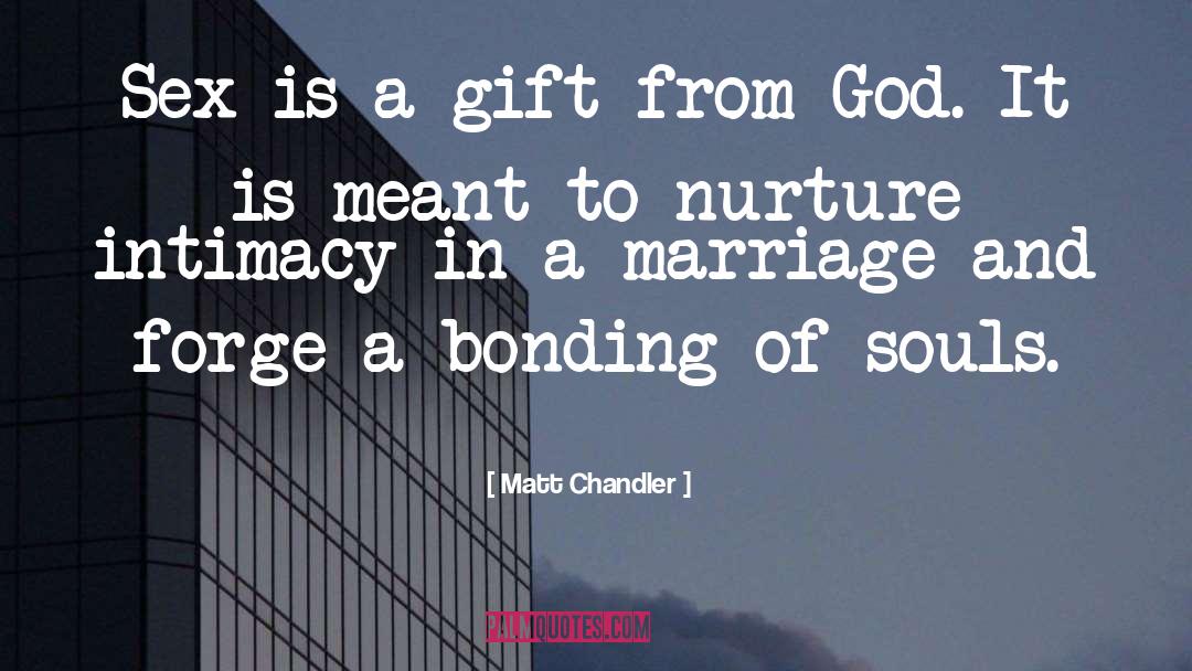 Matt Chandler Quotes: Sex is a gift from