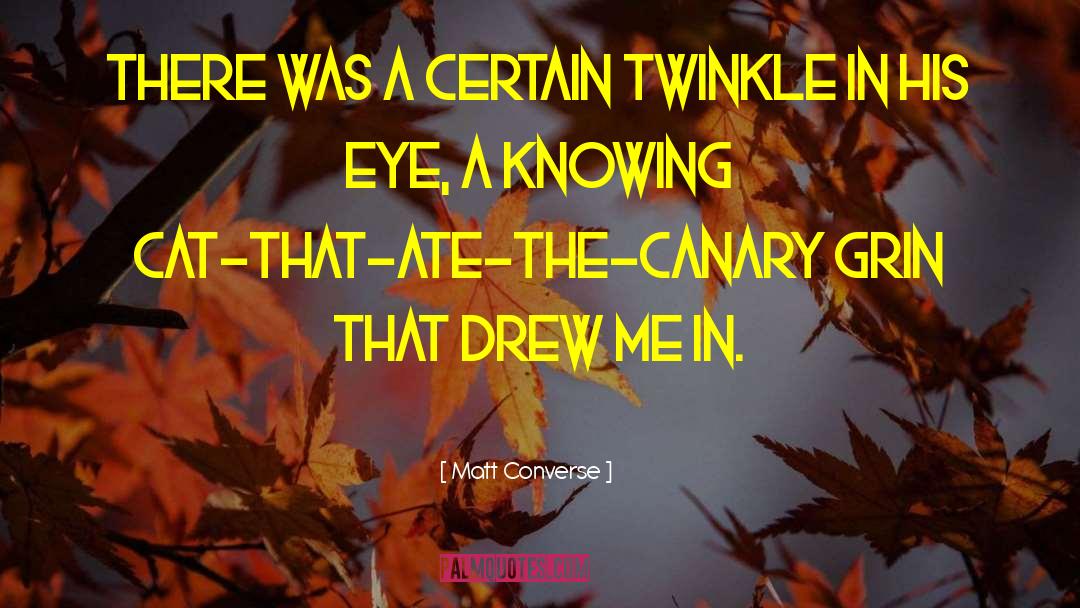 Matt Converse Quotes: there was a certain twinkle