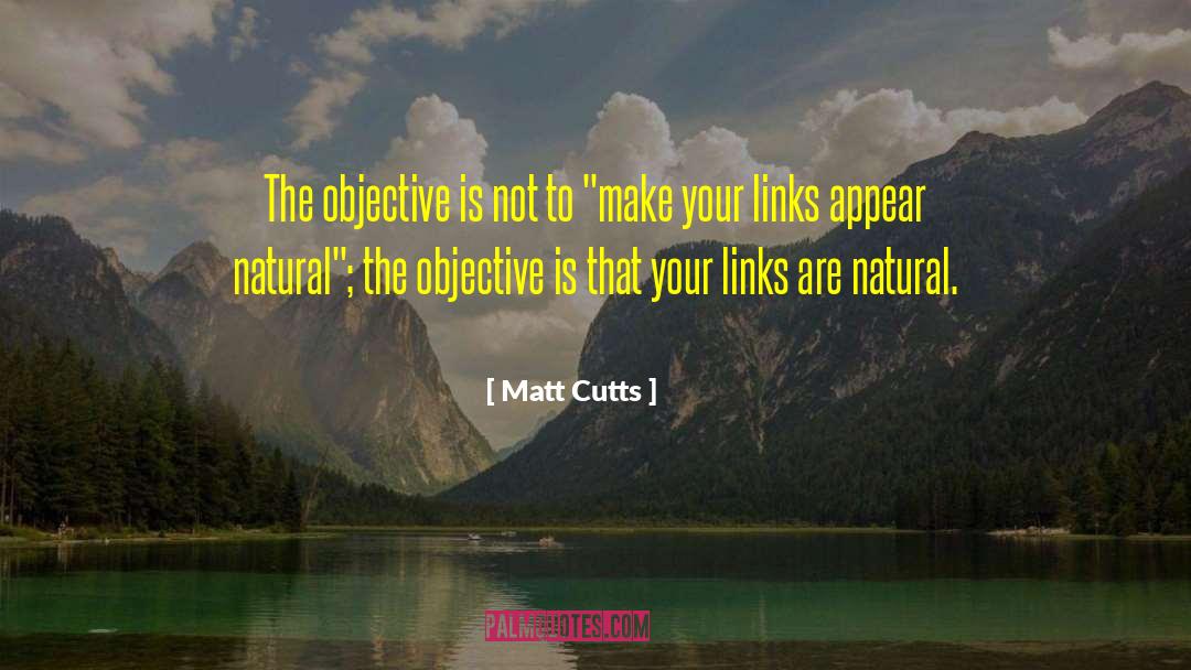 Matt Cutts Quotes: The objective is not to