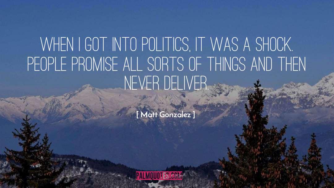 Matt Gonzalez Quotes: When I got into politics,