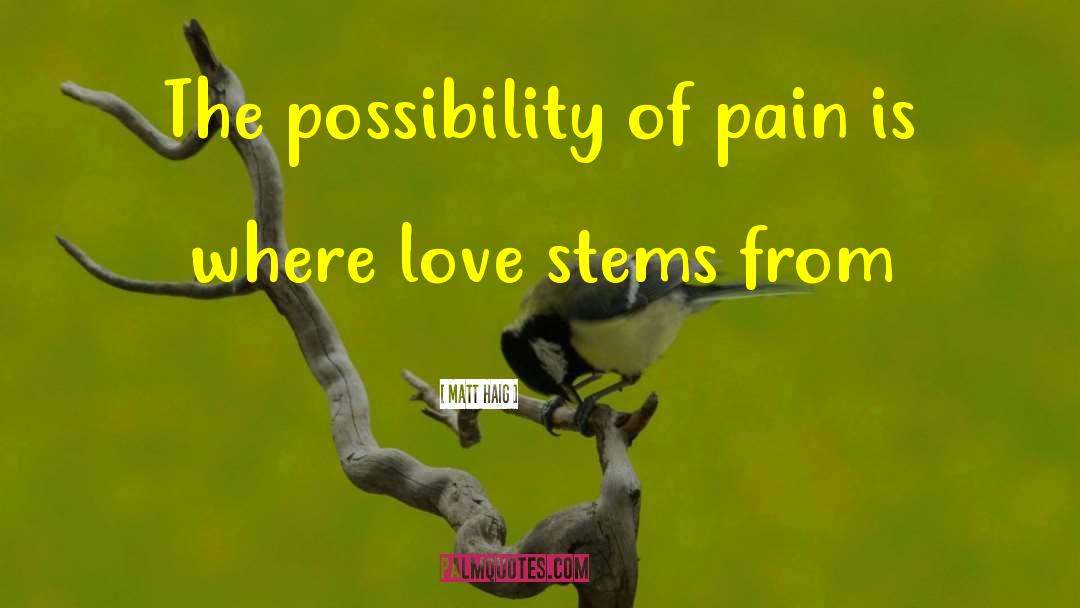 Matt Haig Quotes: The possibility of pain is