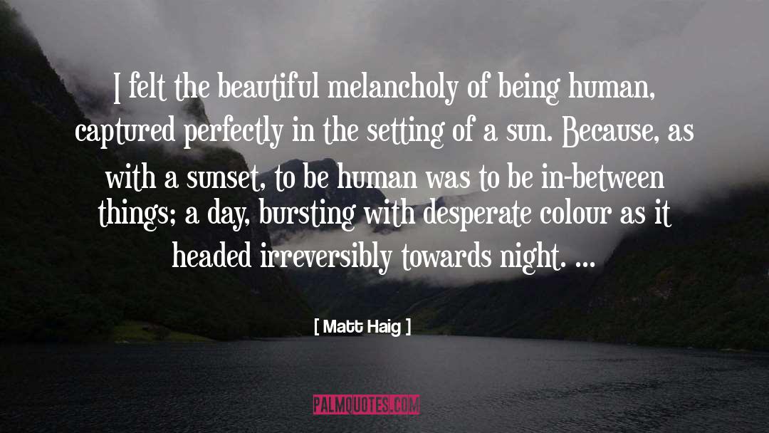 Matt Haig Quotes: I felt the beautiful melancholy