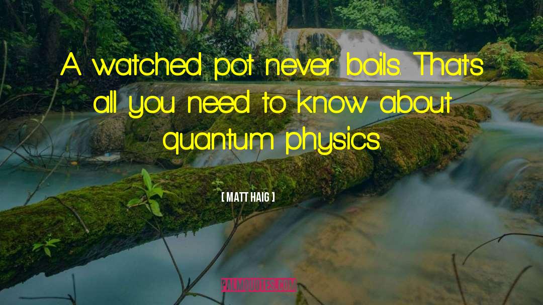 Matt Haig Quotes: A watched pot never boils.