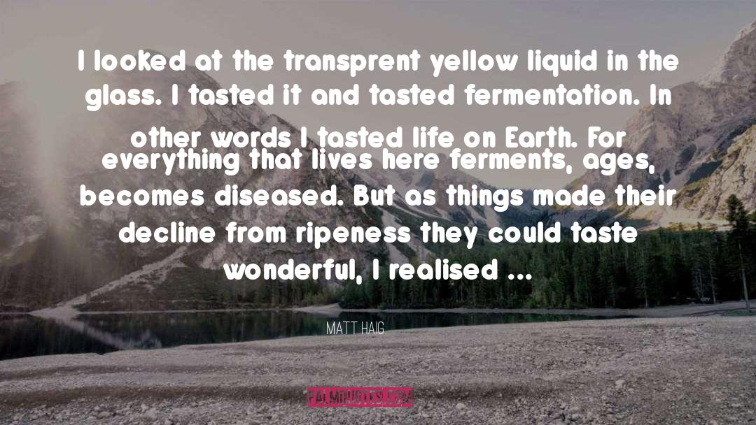 Matt Haig Quotes: I looked at the transprent