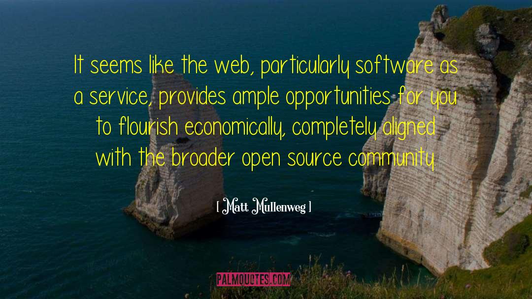 Matt Mullenweg Quotes: It seems like the web,
