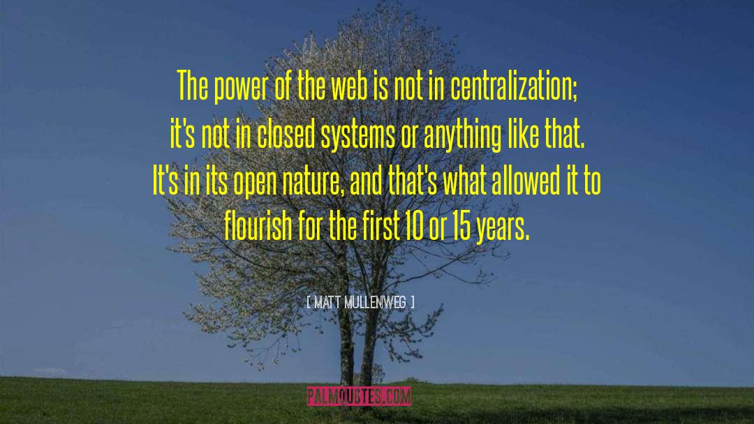 Matt Mullenweg Quotes: The power of the web