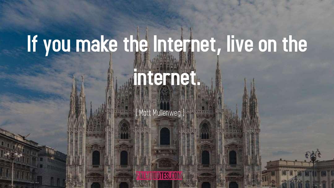 Matt Mullenweg Quotes: If you make the Internet,