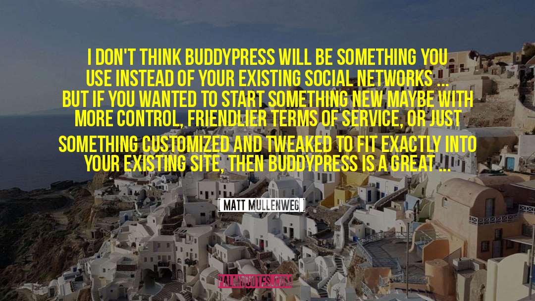 Matt Mullenweg Quotes: I don't think BuddyPress will