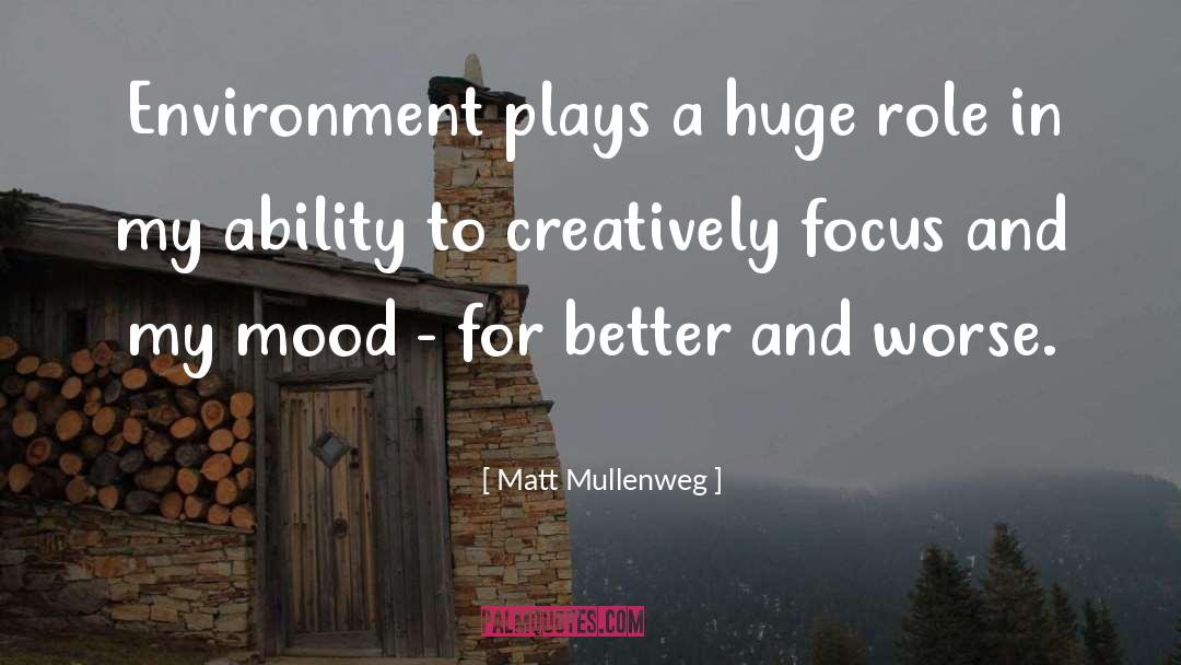 Matt Mullenweg Quotes: Environment plays a huge role