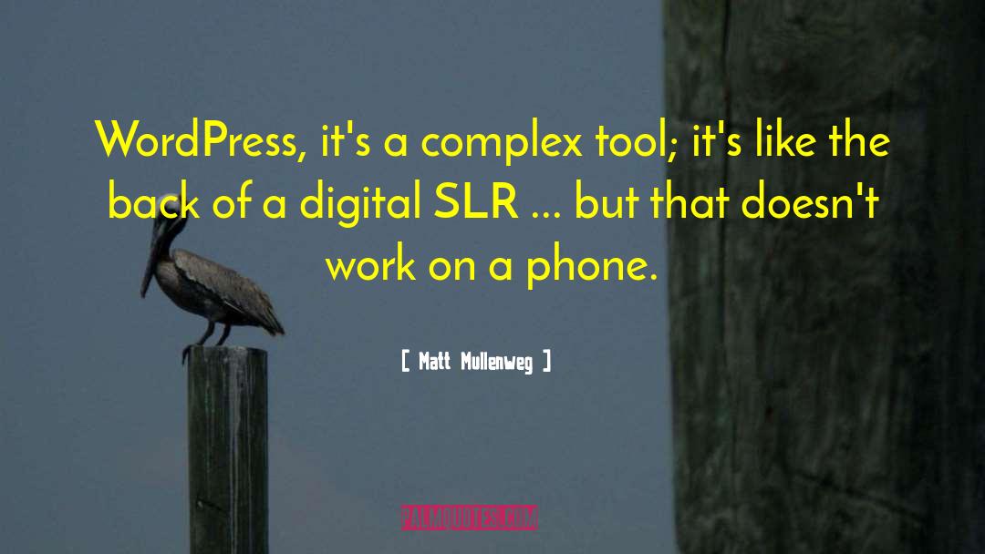 Matt Mullenweg Quotes: WordPress, it's a complex tool;