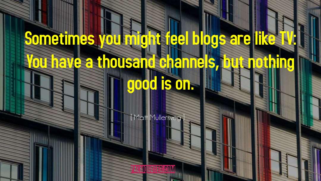 Matt Mullenweg Quotes: Sometimes you might feel blogs