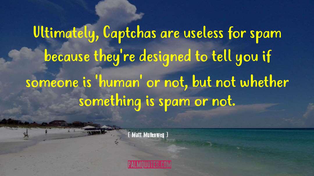 Matt Mullenweg Quotes: Ultimately, Captchas are useless for