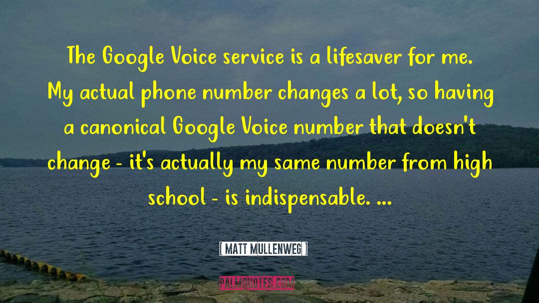 Matt Mullenweg Quotes: The Google Voice service is