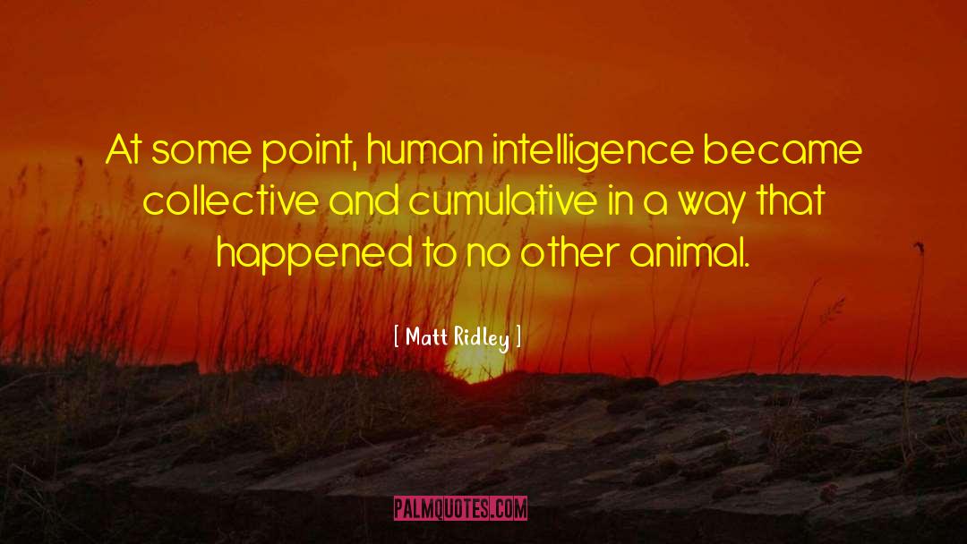 Matt Ridley Quotes: At some point, human intelligence