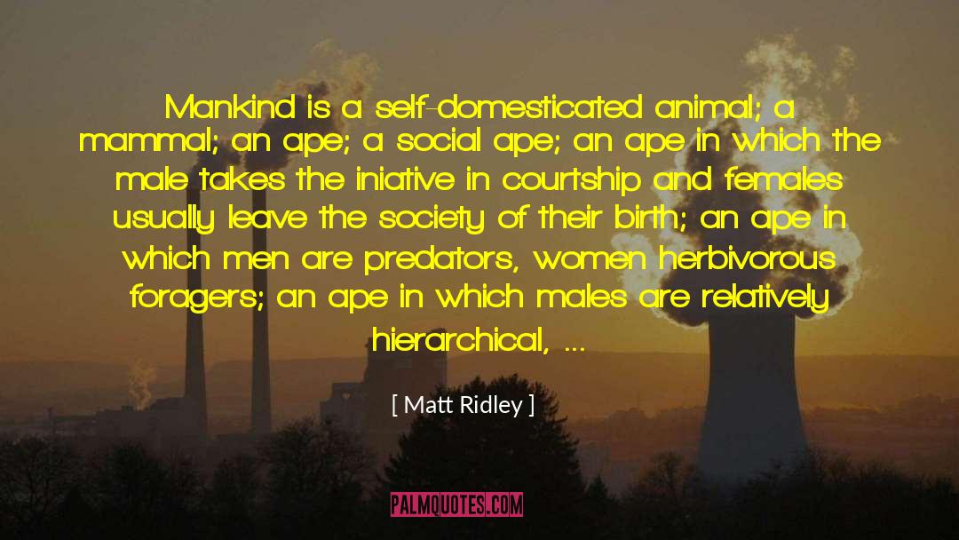Matt Ridley Quotes: Mankind is a self-domesticated animal;