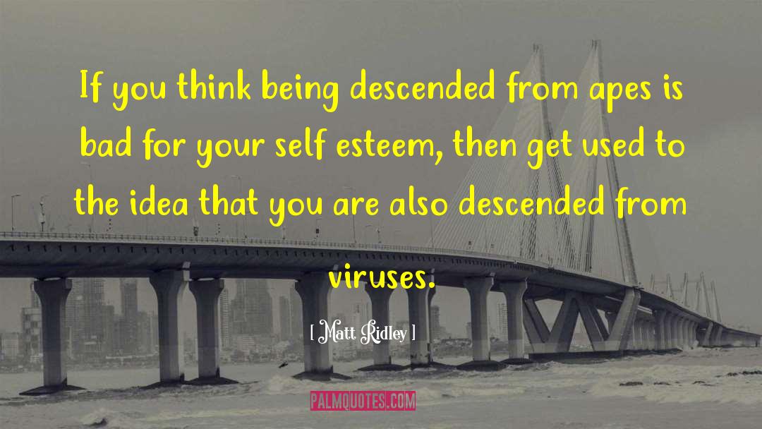 Matt Ridley Quotes: If you think being descended