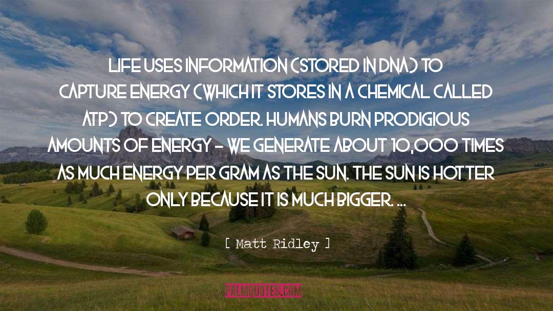 Matt Ridley Quotes: Life uses information (stored in