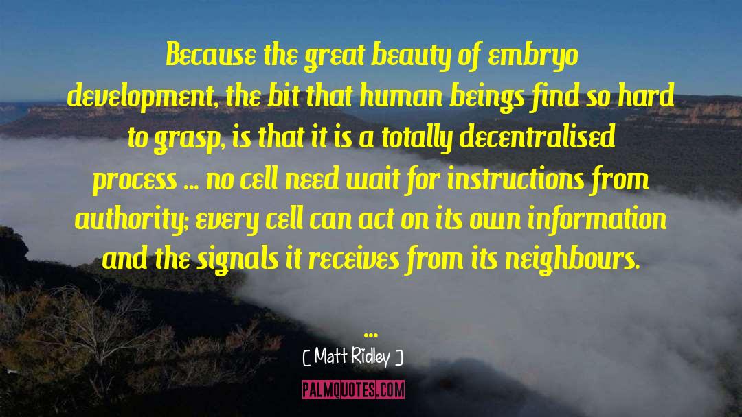 Matt Ridley Quotes: Because the great beauty of