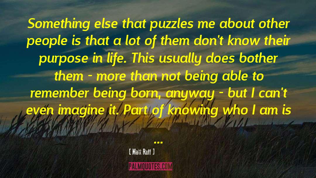 Matt Ruff Quotes: Something else that puzzles me