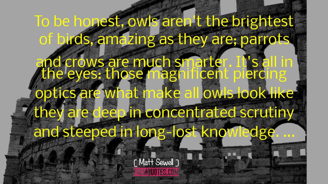 Matt Sewell Quotes: To be honest, owls aren't