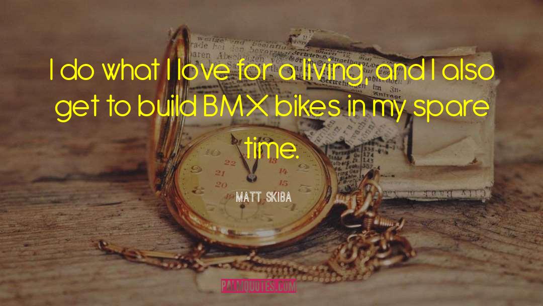 Matt Skiba Quotes: I do what I love