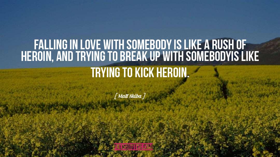 Matt Skiba Quotes: Falling in love with somebody