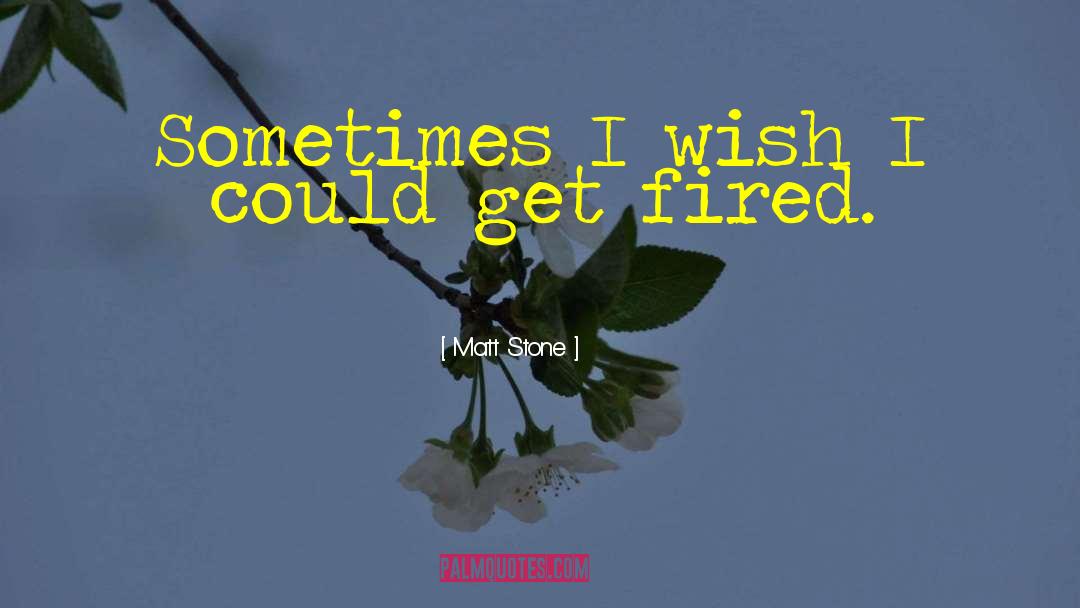 Matt Stone Quotes: Sometimes I wish I could