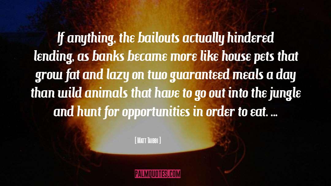 Matt Taibbi Quotes: If anything, the bailouts actually