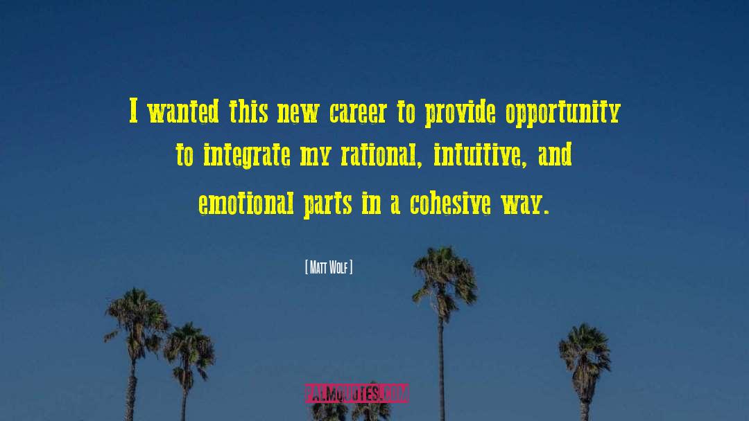 Matt Wolf Quotes: I wanted this new career