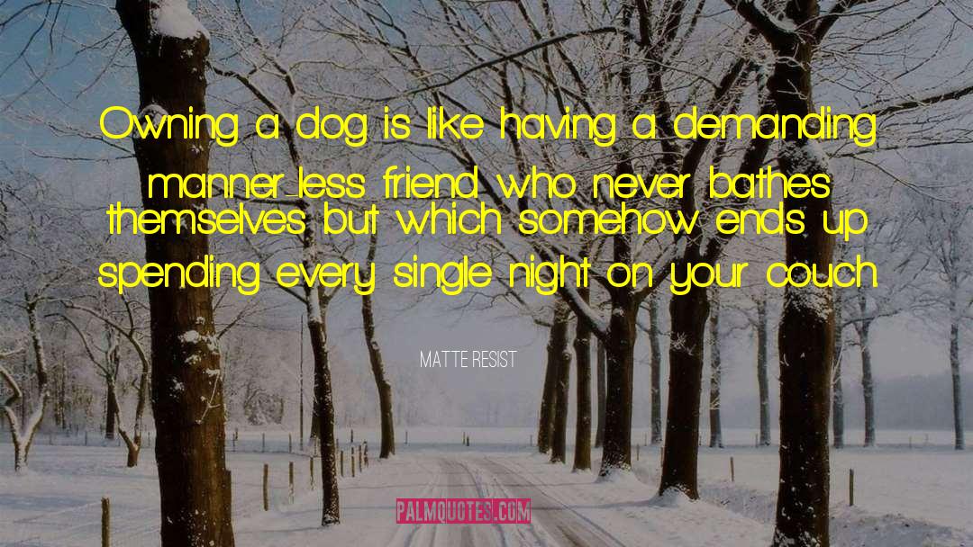 Matte Resist Quotes: Owning a dog is like