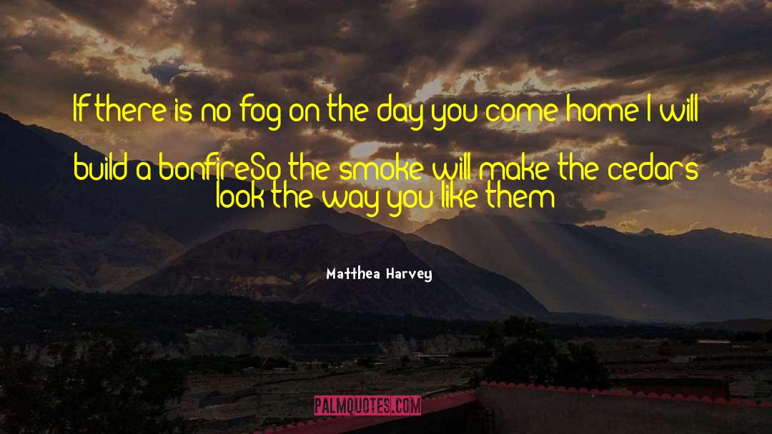 Matthea Harvey Quotes: If there is no fog