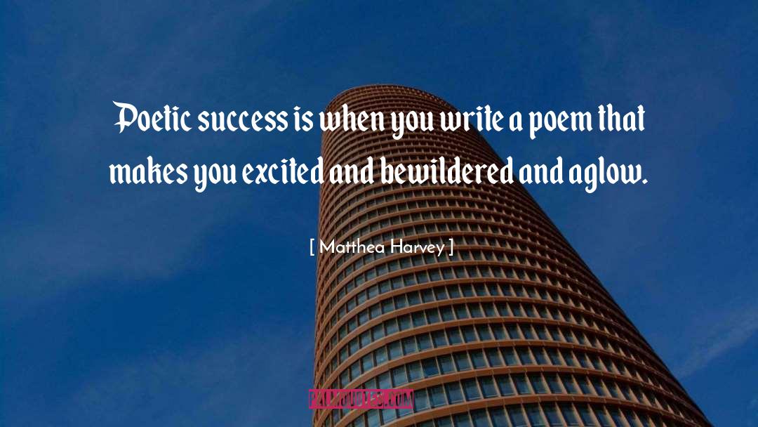 Matthea Harvey Quotes: Poetic success is when you