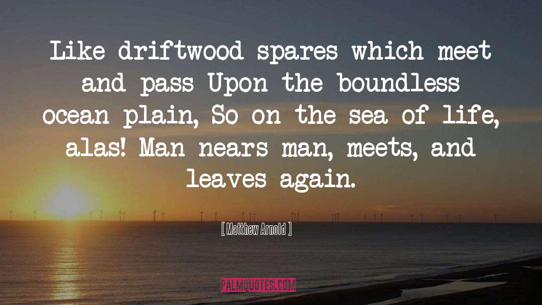 Matthew Arnold Quotes: Like driftwood spares which meet
