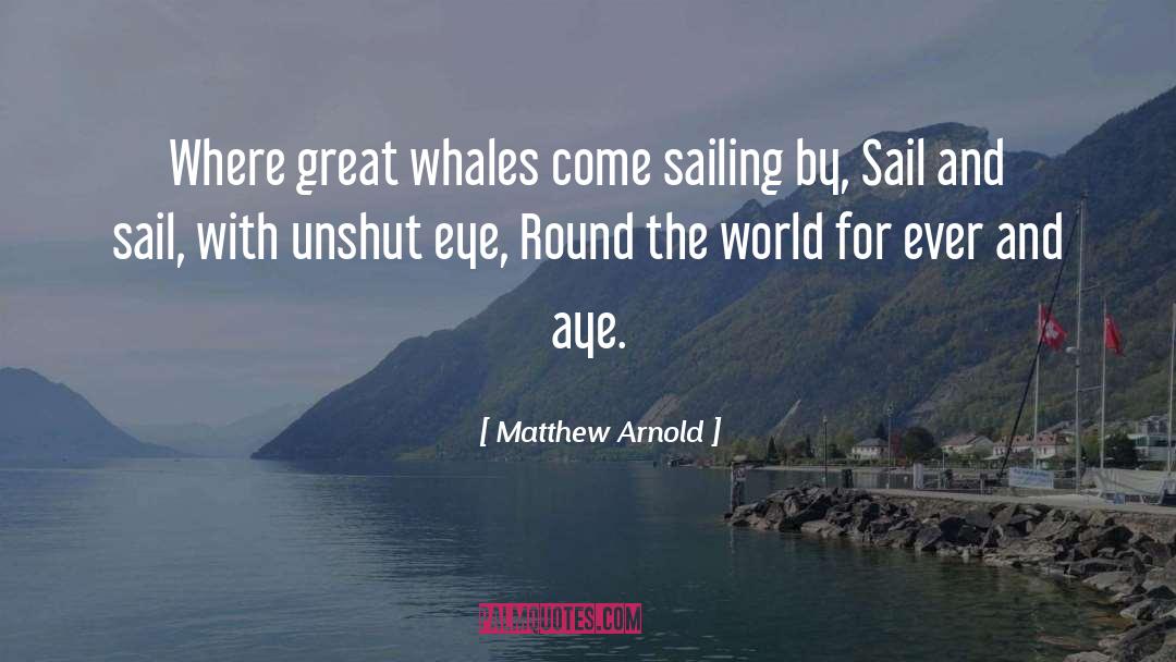Matthew Arnold Quotes: Where great whales come sailing