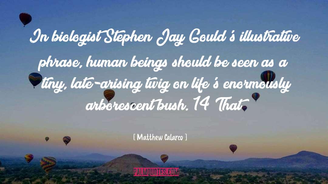 Matthew Calarco Quotes: In biologist Stephen Jay Gould's