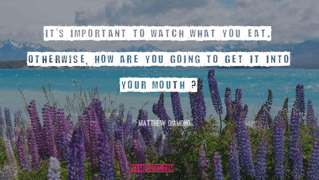 Matthew Diamond Quotes: It's important to watch what