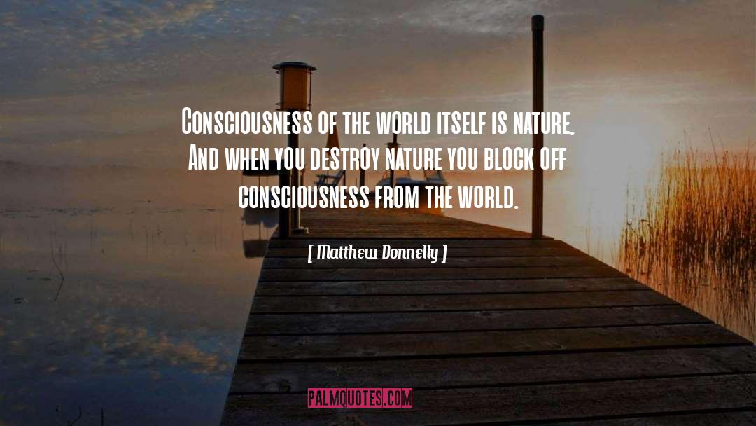 Matthew Donnelly Quotes: Consciousness of the world itself