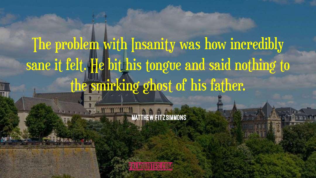 Matthew FitzSimmons Quotes: The problem with Insanity was