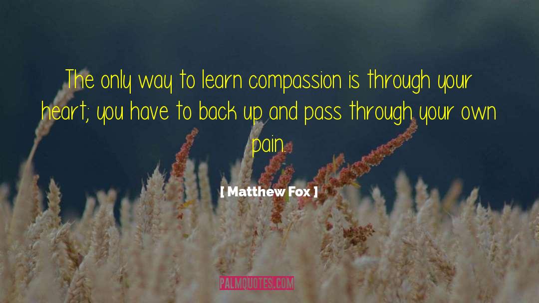 Matthew Fox Quotes: The only way to learn