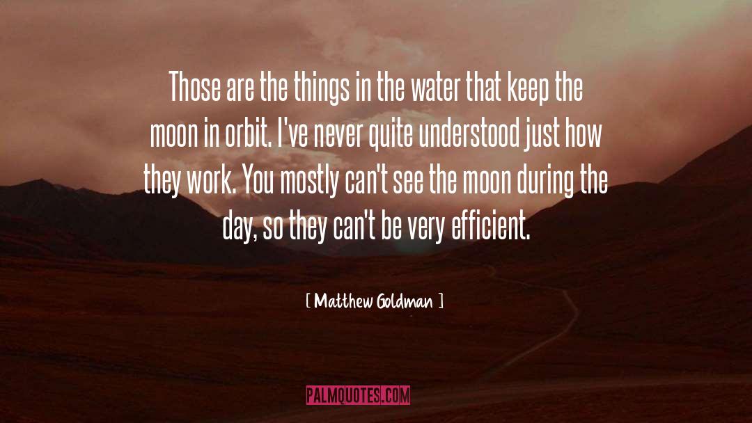 Matthew Goldman Quotes: Those are the things in