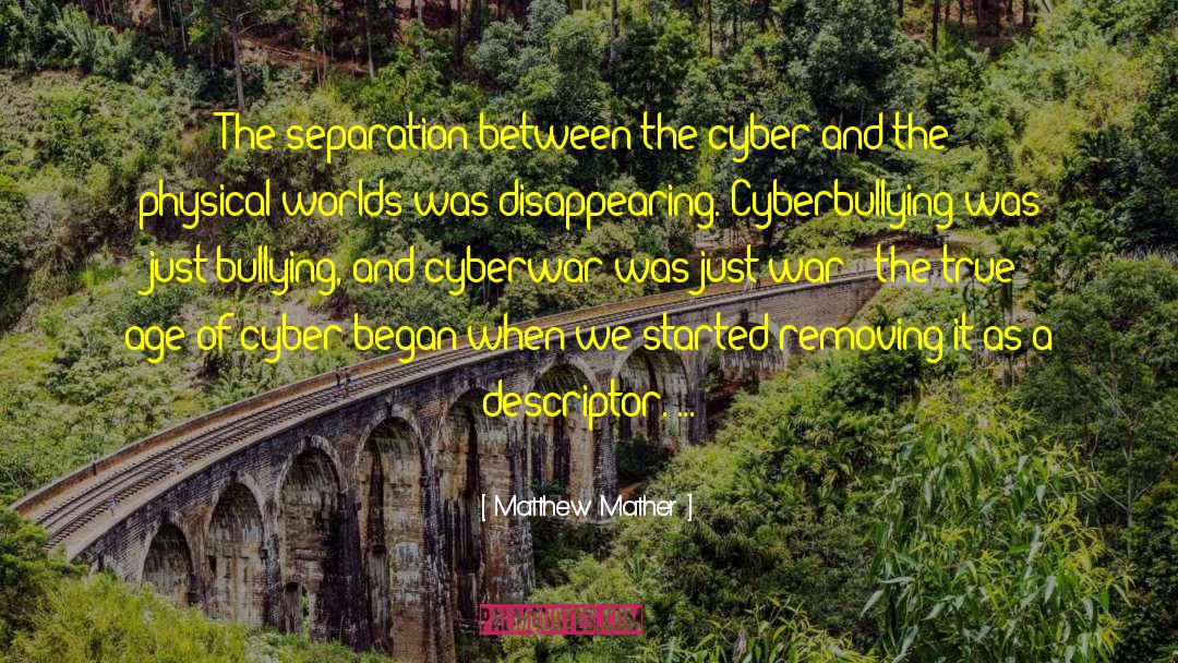 Matthew Mather Quotes: The separation between the cyber