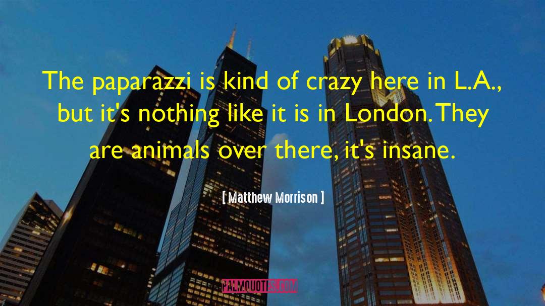 Matthew Morrison Quotes: The paparazzi is kind of